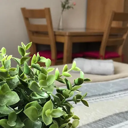 בית הארחה Crhan מיקולוב