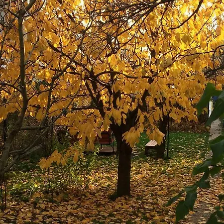 Crhan בית הארחה