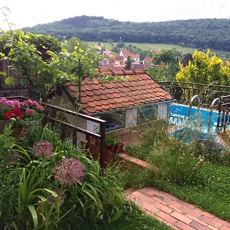 בית הארחה Crhan 3*