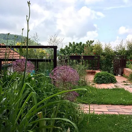 Crhan מיקולוב