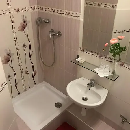 Guest house Crhan 3*