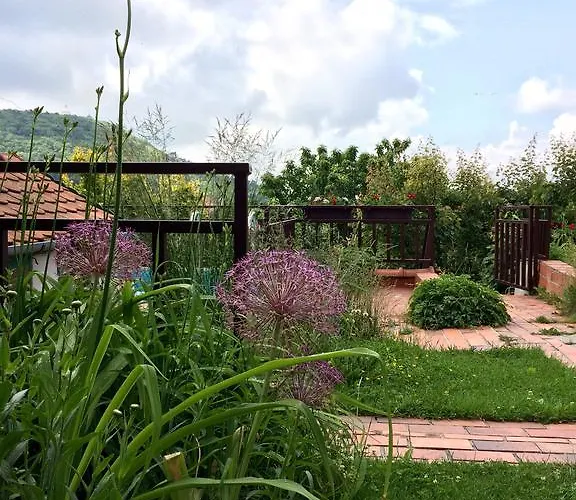 Crhan Mikulov